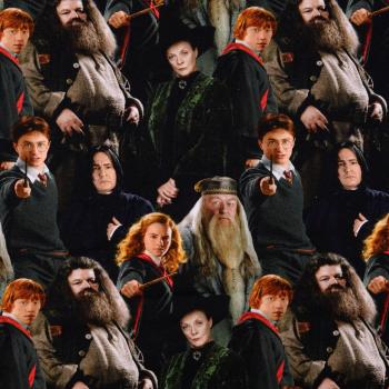  Baumwoll Jersey Harry Potter alle Charakter Digitaldruck
